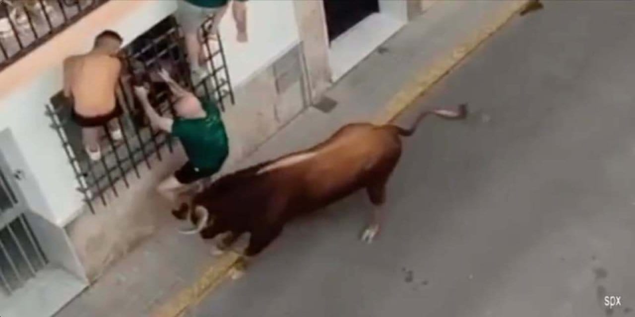 boga festivaline katilan kisi boynuzlanarak can verdi q9fM9KBI