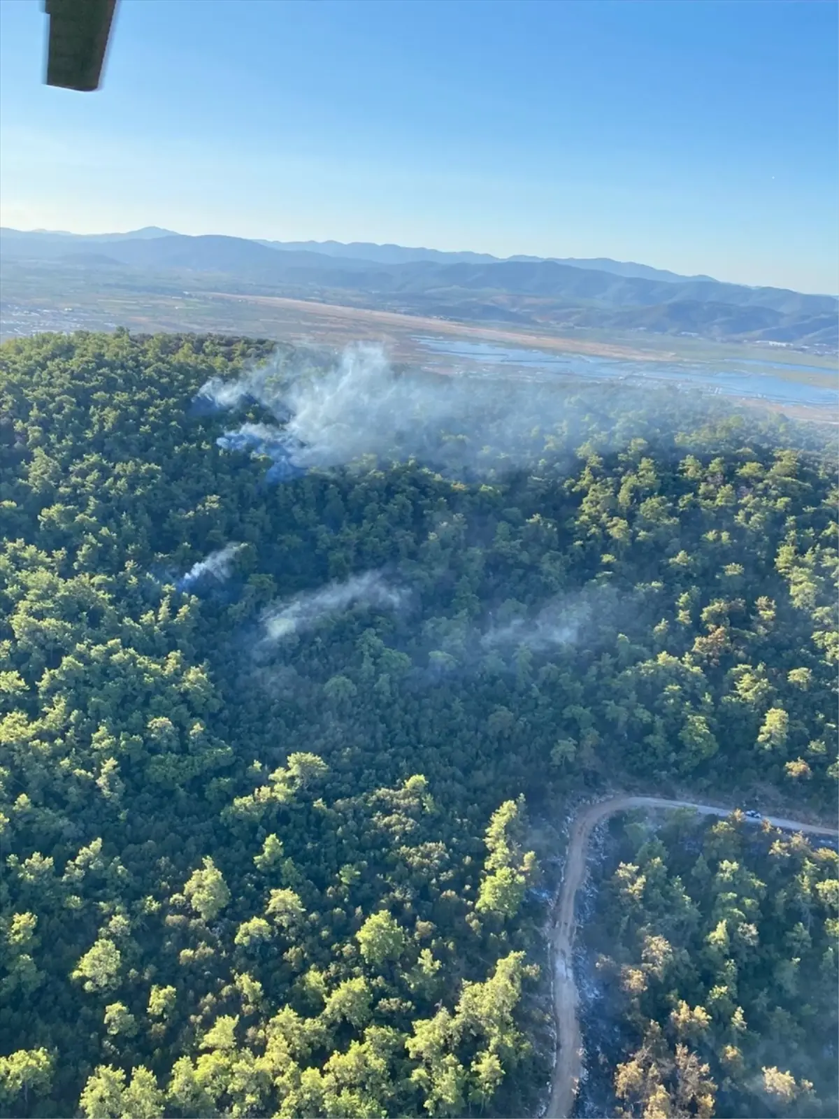 milasta orman yangini suruyor GqQDqqUZ