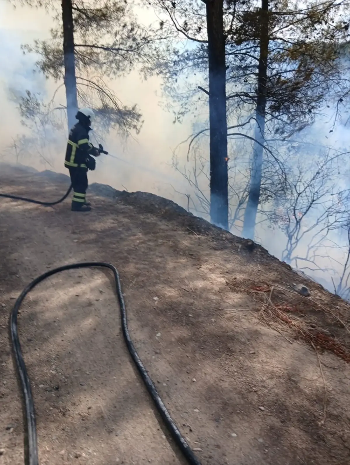 erzinde orman yangini kontrol altina alindi WPZIEAC9