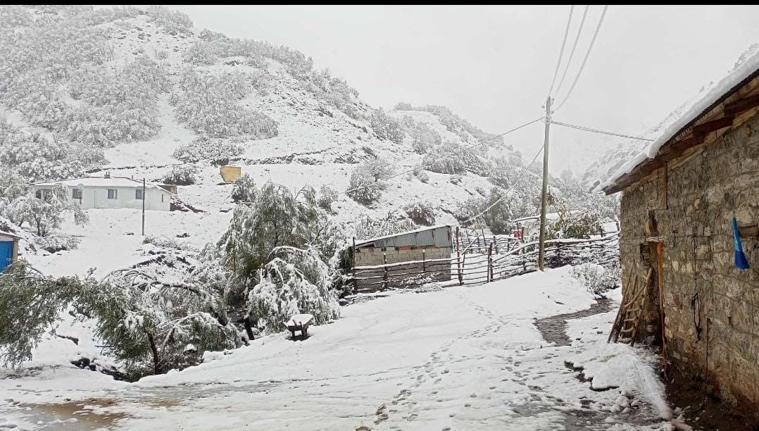 hasadi yapilmayan ceviz kar altinda kaldi jLhaniCt.jpg