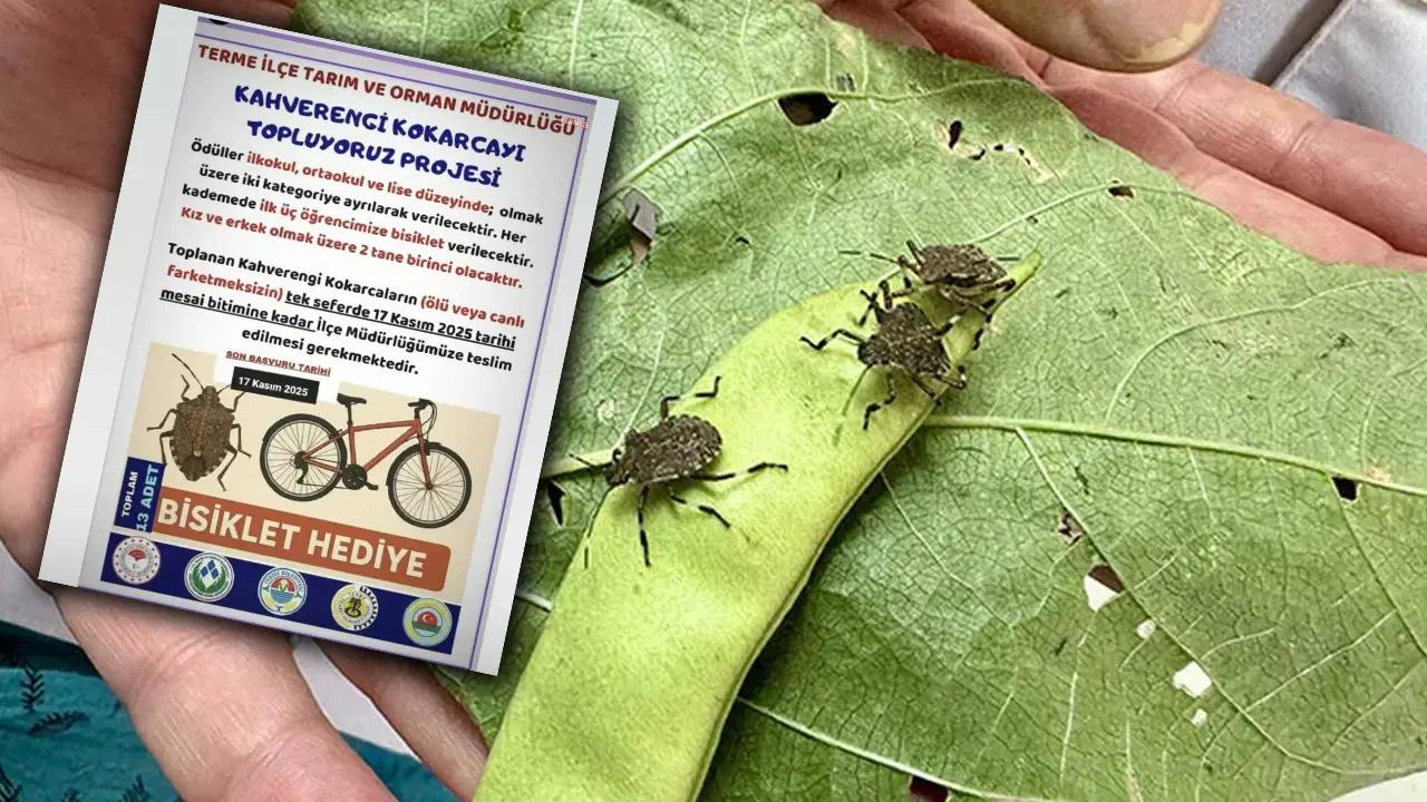 kokarca toplama projesine chpden tepki bilimle mucadele edecegimize cocuklari kullaniyoruz JbyrFL34.jpg