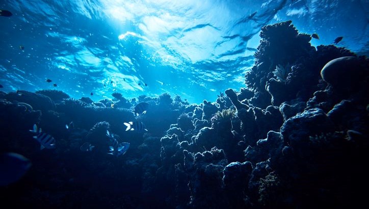 okyanusun altindan siziyor antarktikada sasirtan kesif LOjUflXB