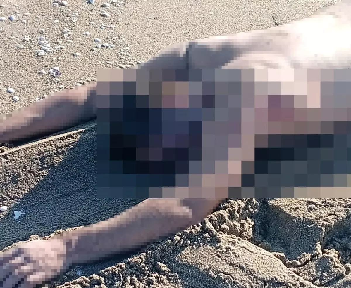 sakaryada ciplak erkek cesedi bulundu INwamrl3