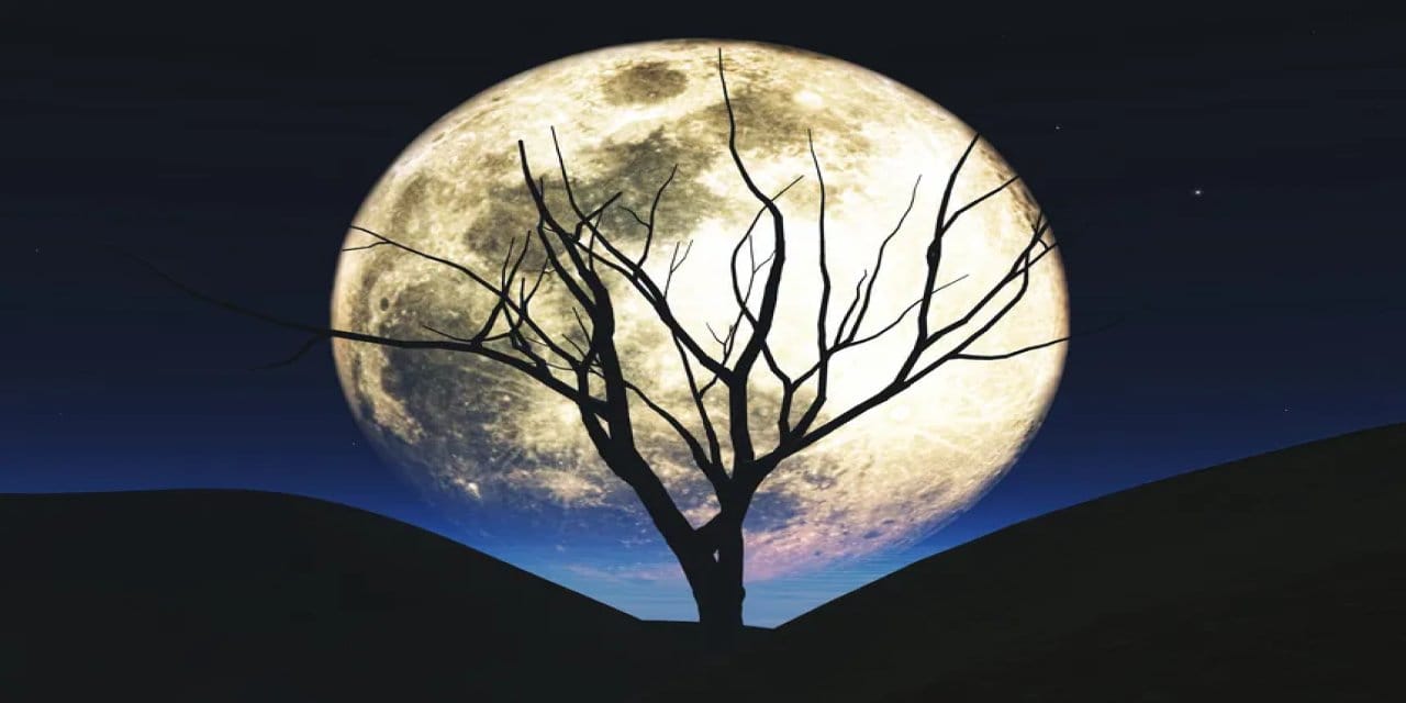 5 kasimda boga burcundaki dolunay neler geliyor neler gidiyor p12yyAs7.jpg