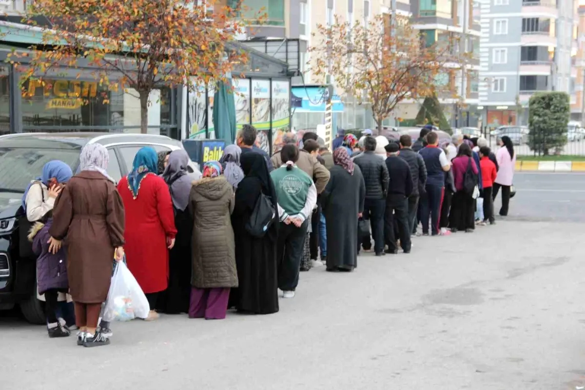 corumda hamsi kuyrugu 1YezbU9u.jpg