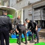 14 Yaşındaki Kız, Babasını Bıçaklayarak Teslim Oldu