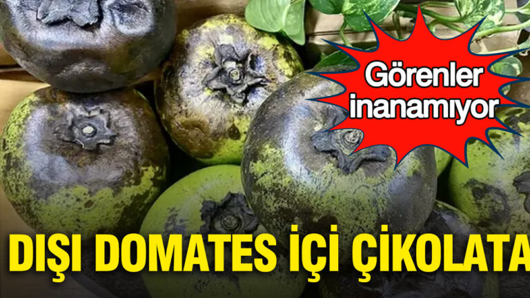 disi-domates-ici-cikolata-gorenler-inanamiyor-uIQBLtt9