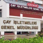 yas-cay-alim-fiyati-ne-kadar-oldu-yas-cay-alimi-fiyati-aciklandi-mi-5ZzrPXDq