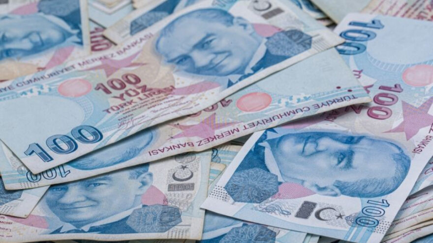 Sindirim Sistemi: Yapısı ve İşlevleri Üzerine Detaylı İnceleme